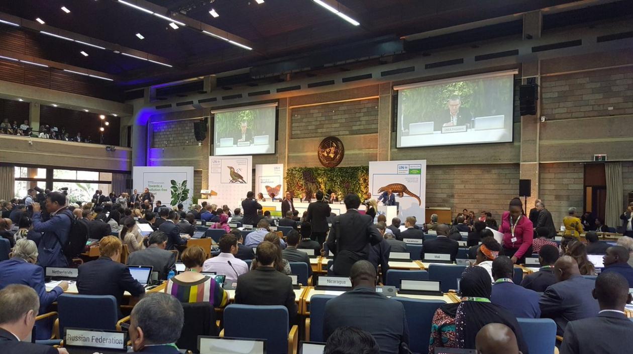 Instalación de la UNEA-3.