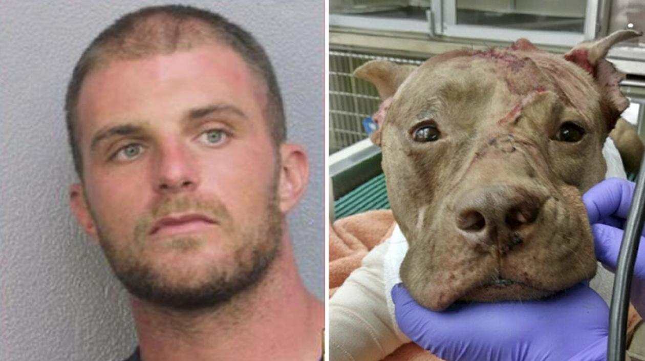  Brendan Evans, de 31 años, será acusado de 17 delitos.