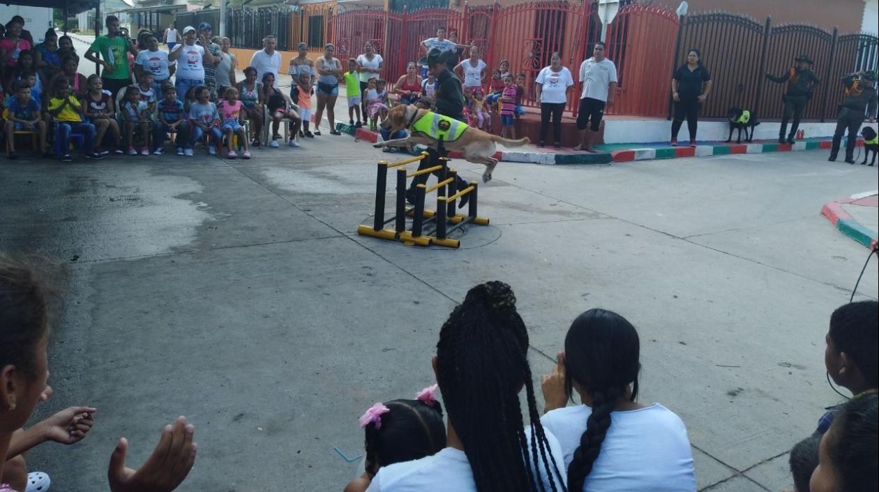 Acto del show canino en el barrio Las Nieves.