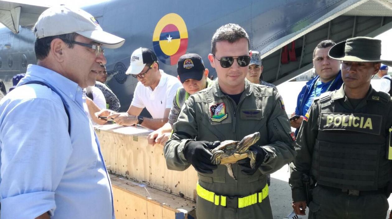 La Corporacion Autónoma Regional del Atlántico recibió los animales.