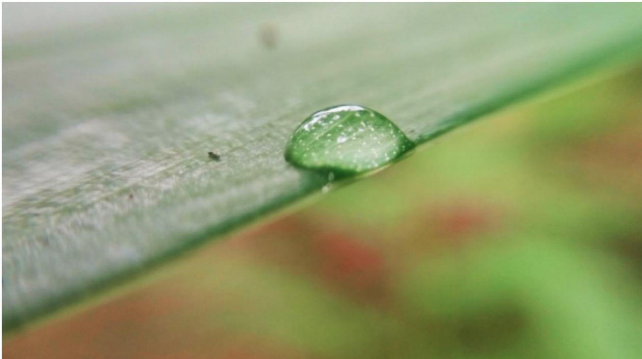 Carátula del boletín Clima y Salud.
