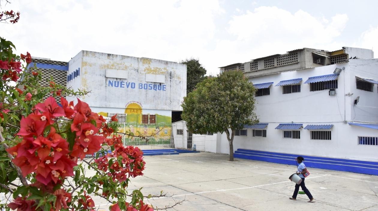 Colegio Nuevo Bosque.