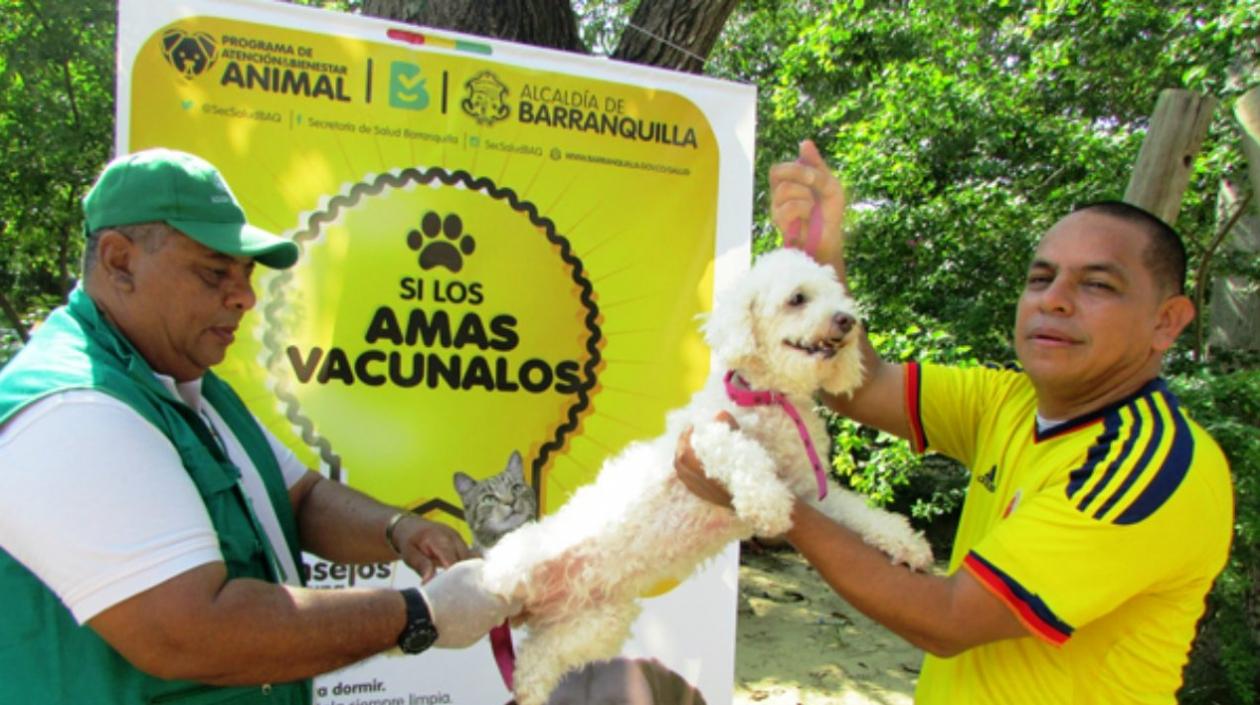 Si los amas vacúnalos. El Distrito realizará este domingo la última jornada de  vacunación antirrábica animal gratuita.