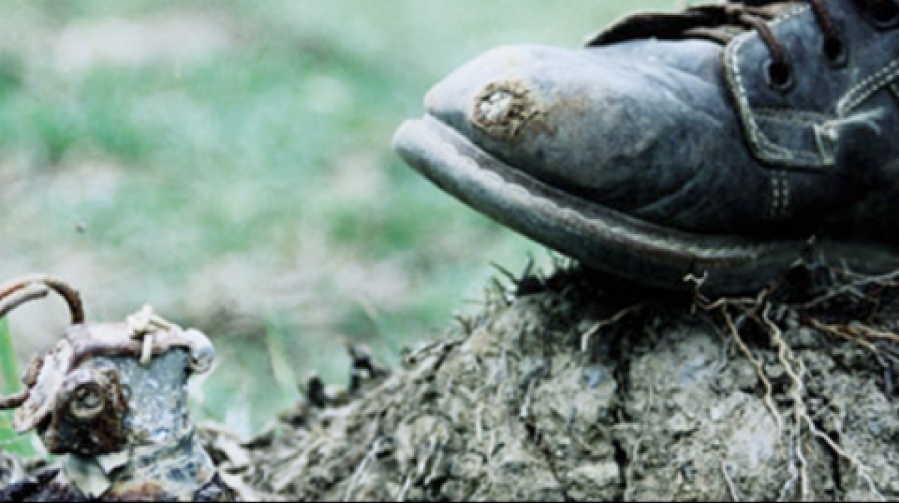 Imagen de una mina antipersona.