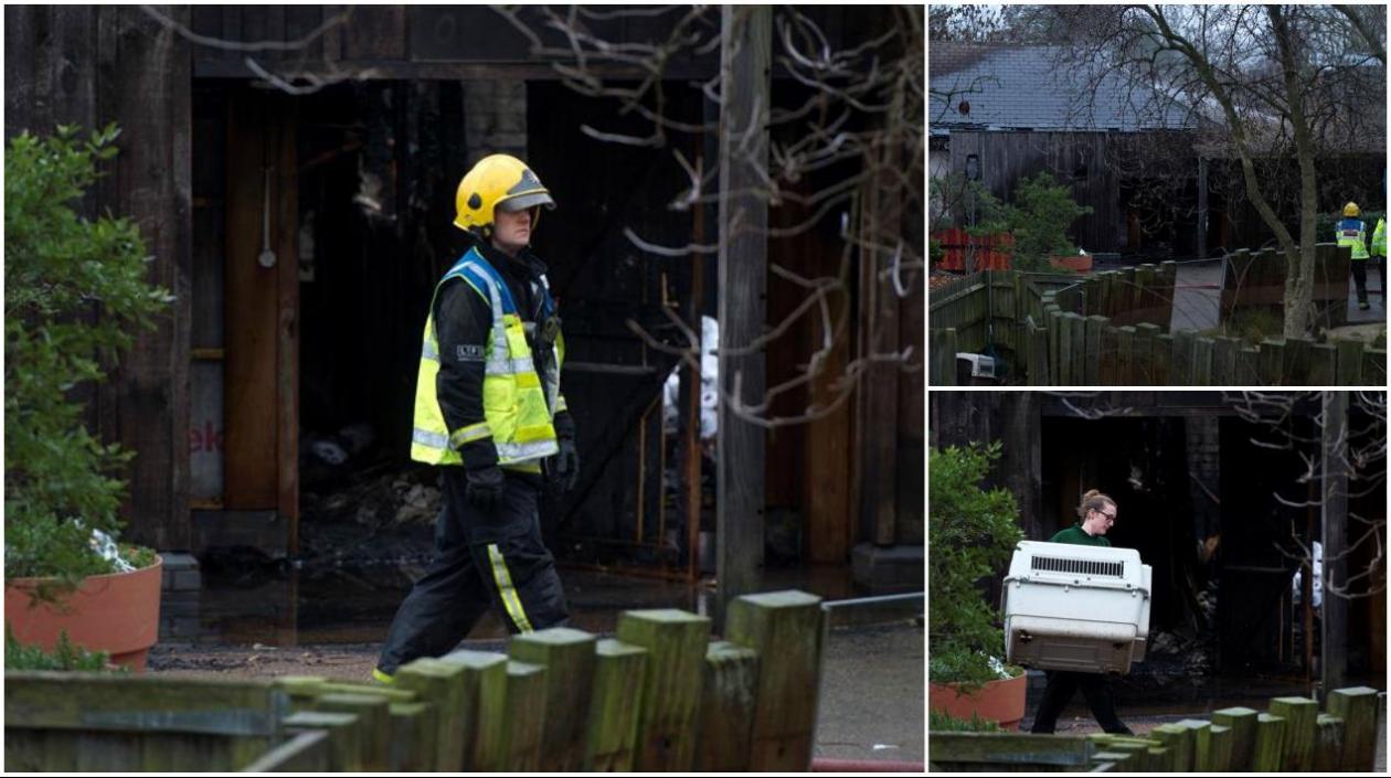 El personal del zoo que vive en el parque estaba en el lugar y comenzó a desplazar a los animales a un lugar seguro.