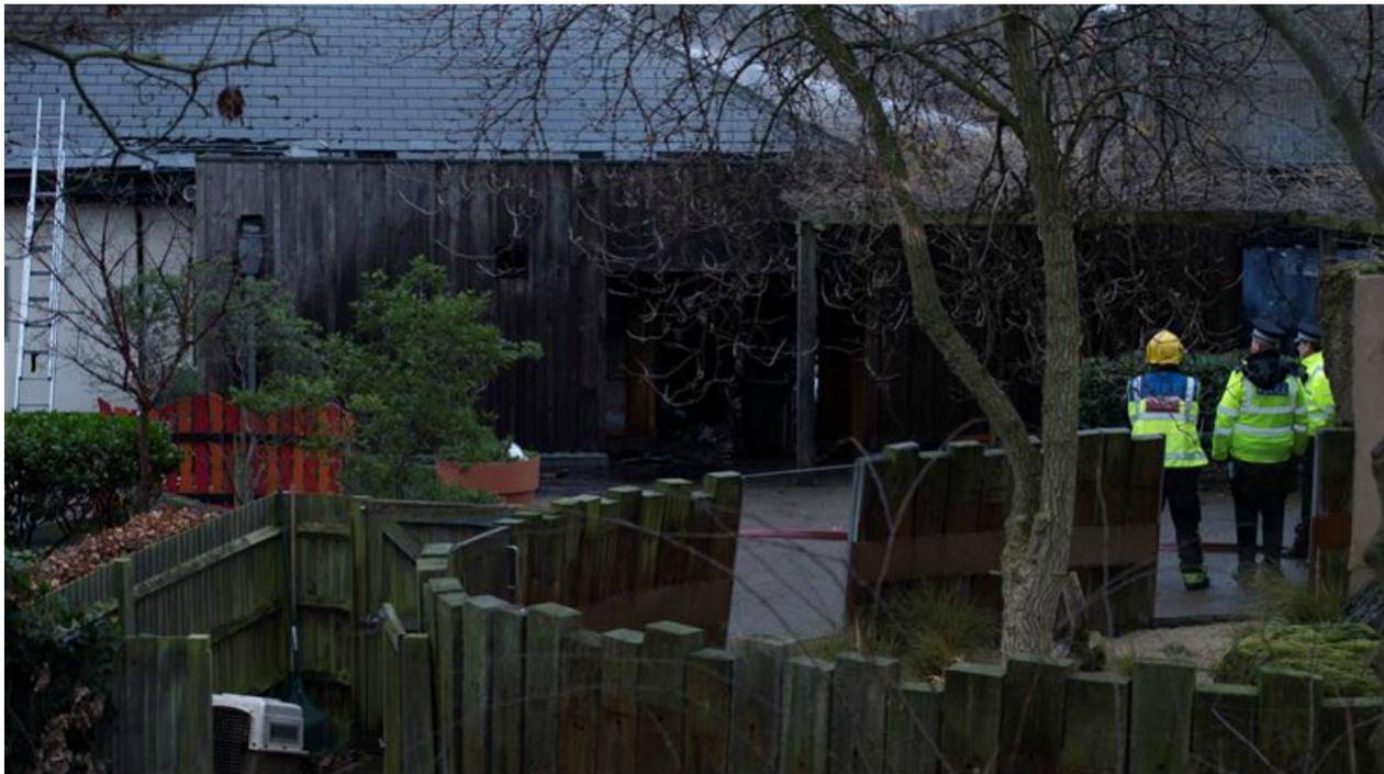 Setenta bomberos sofocaron el incendio en el Zoo de Londres.