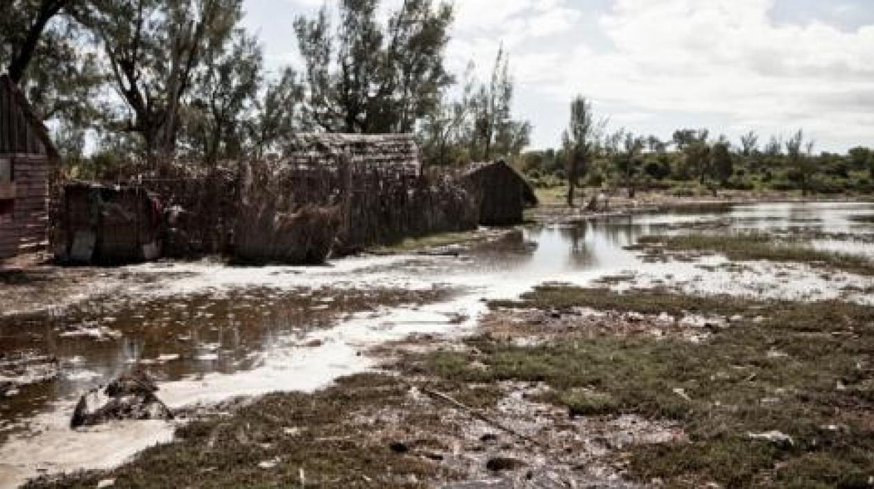La cifra de muertos podría aumentar.