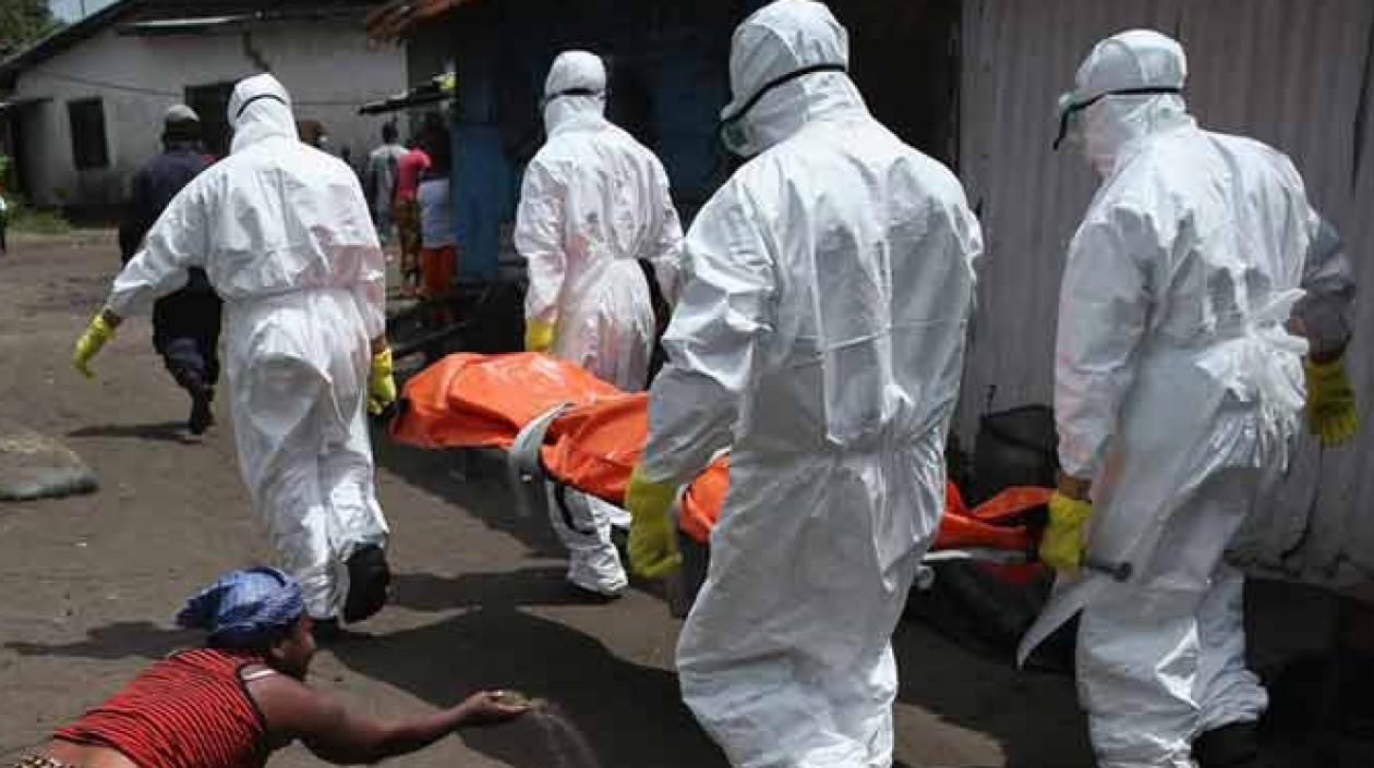 La fiebre Lassa se transmite a los humanos a través del contacto con alimentos o enseres domésticos contaminados por la excreta de roedores.