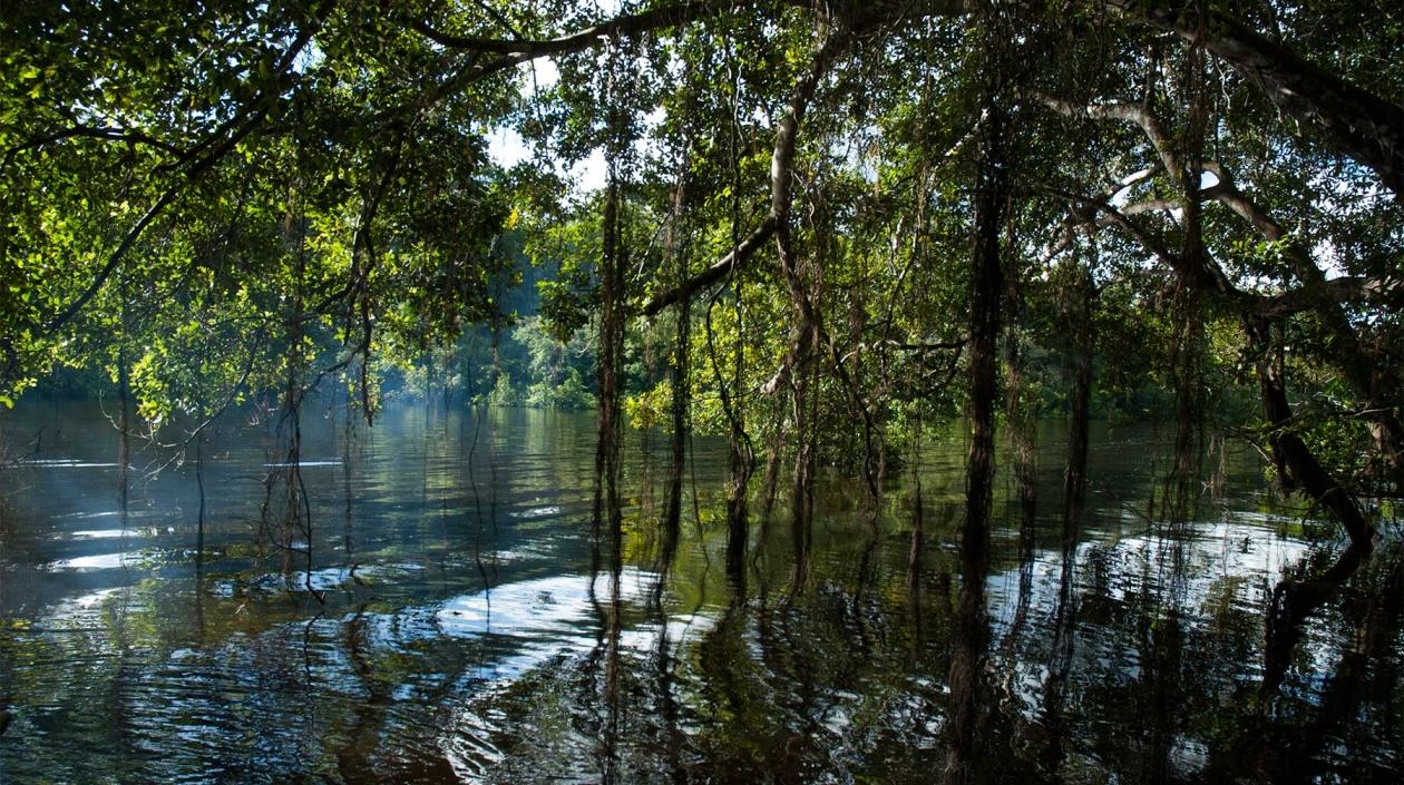 La convocatoria buscaba proyectos que apoyaran la gestión de GEO.