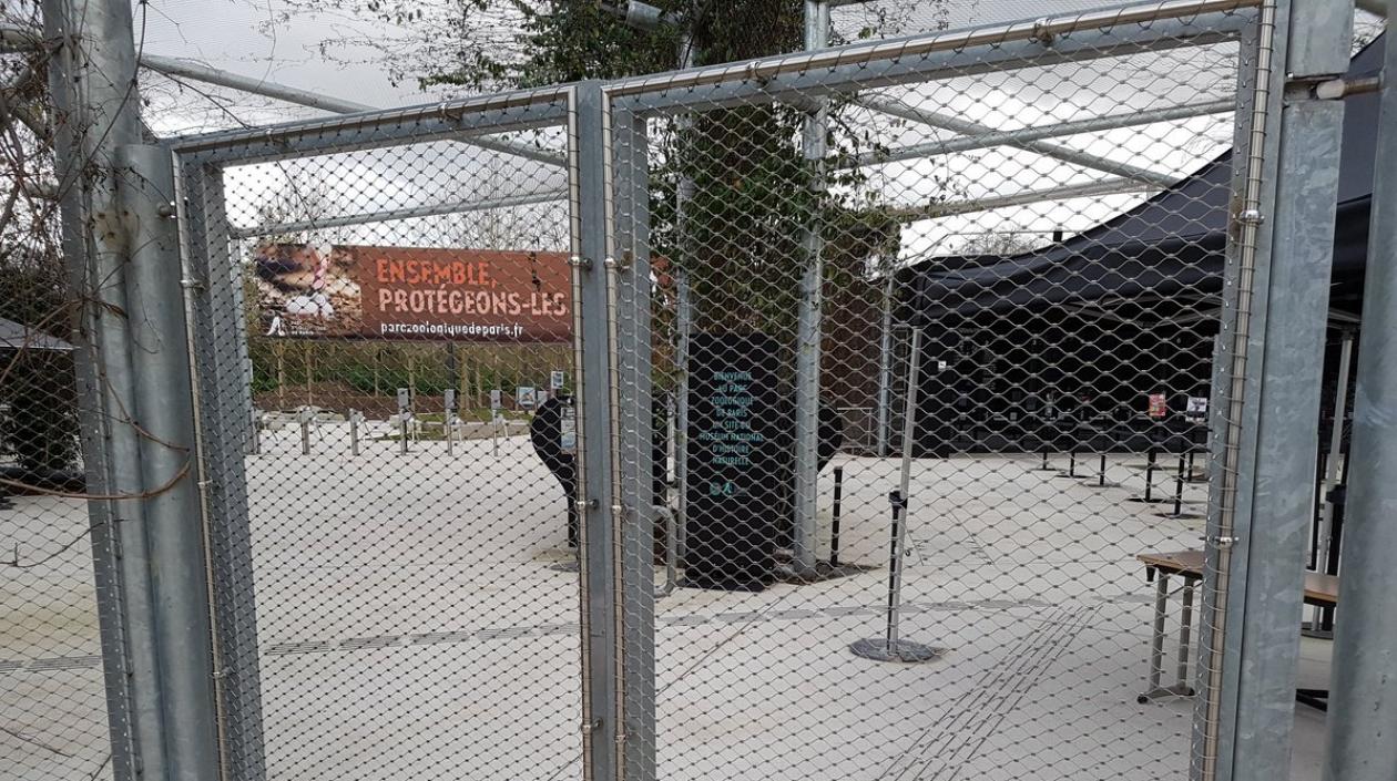 La normalidad volvió al Zoológico de París.