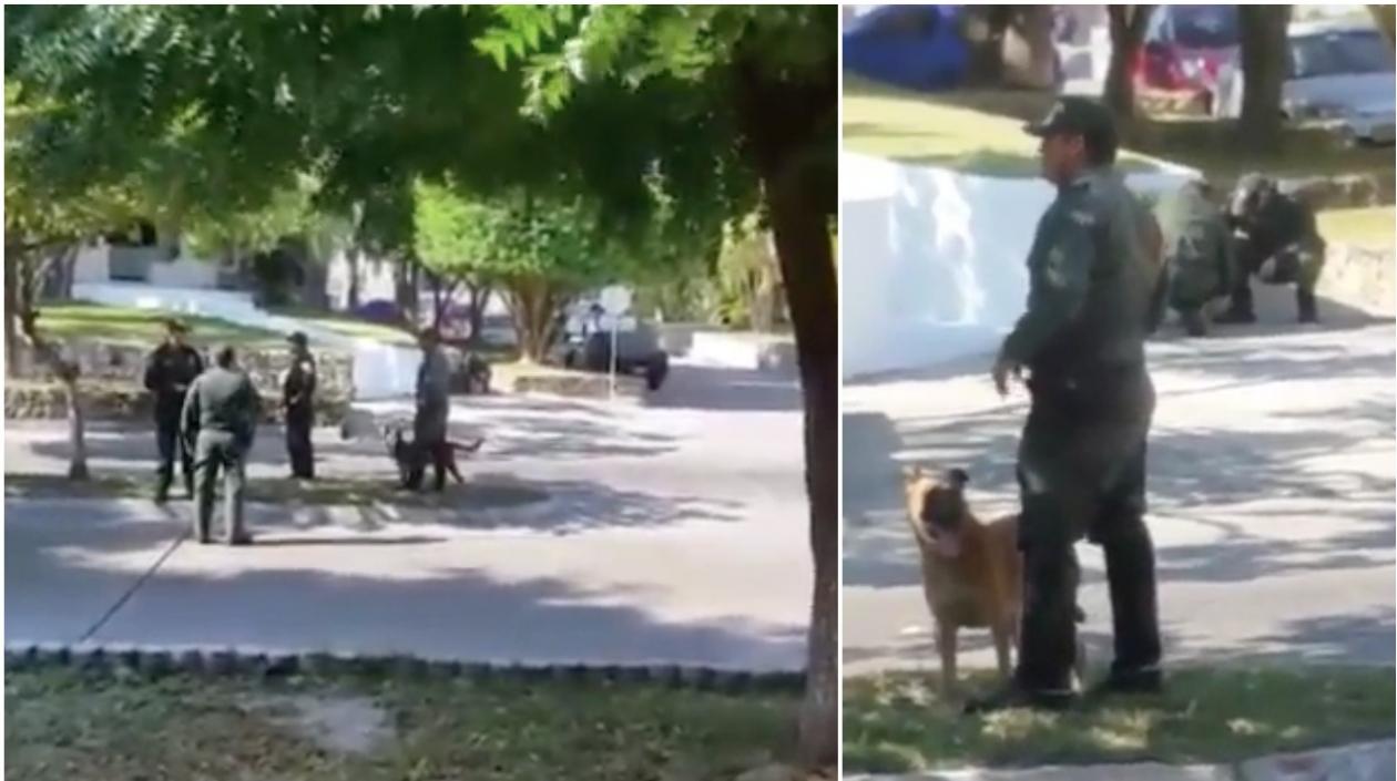 Unidades antiexplosivos llegaron al sitio y descartaron que hubiera explosivos.