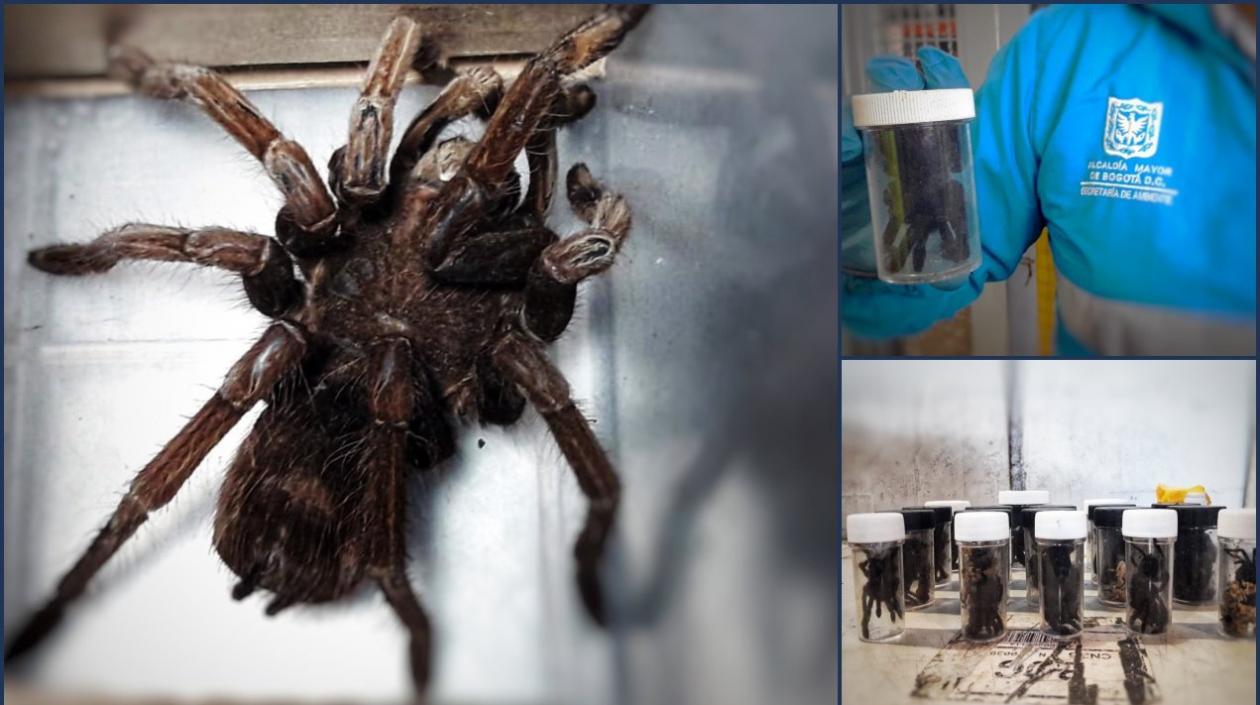 Un ciudadano surcoreano llevaba la encomienda.