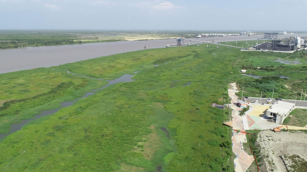 La enorme sedimentación y la isla que se ha formado junto a la Avenida del Río, a la derecha