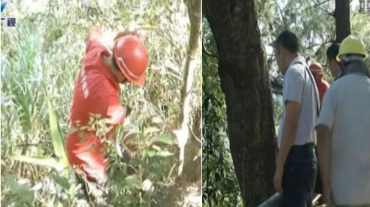 Una bebé de China sobrevive tras ser lanzada por su padre por un acantilado