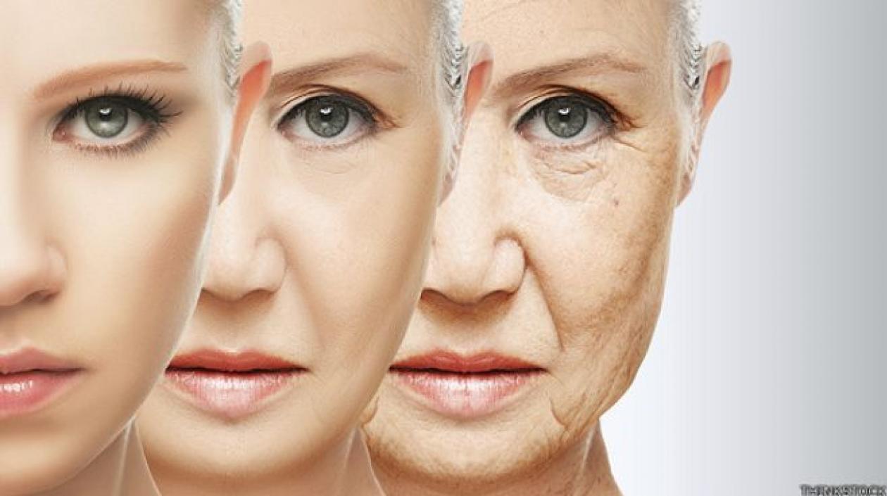 Este nuevo conocimiento podría tener aplicaciones cosméticas, como para cremas anti-arrugas.