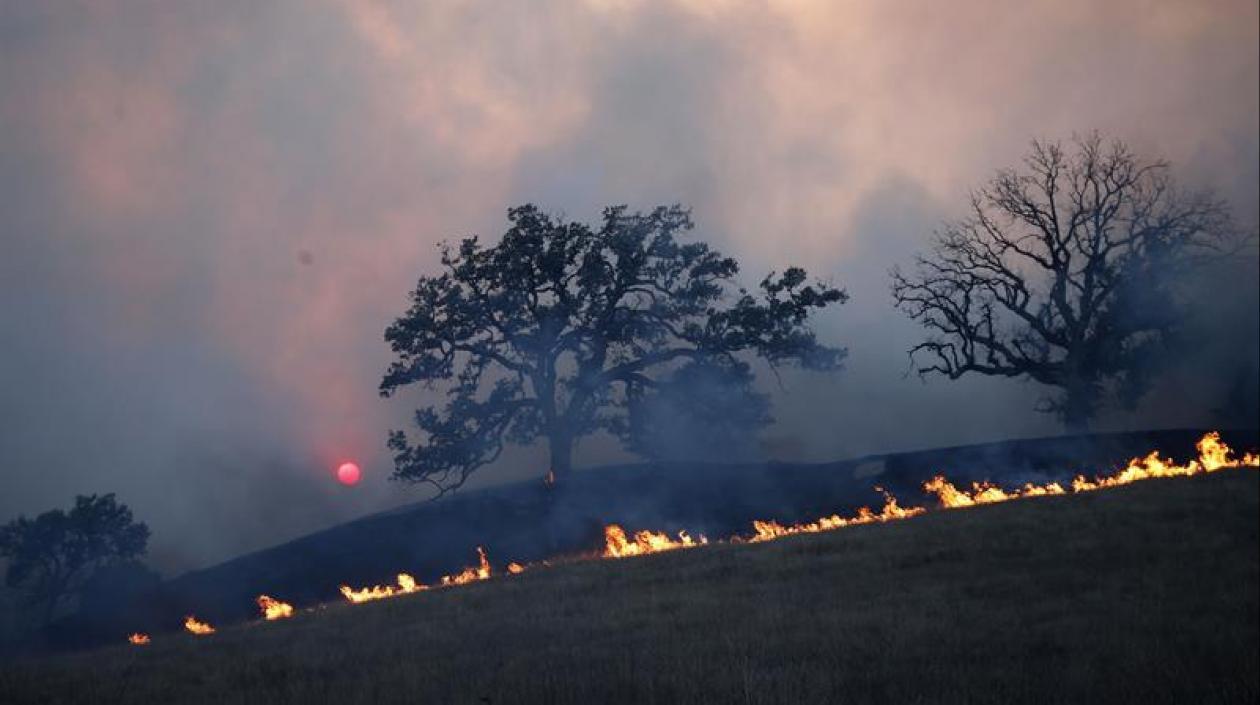  Las nueve víctimas mortales fueron halladas en Paradise.