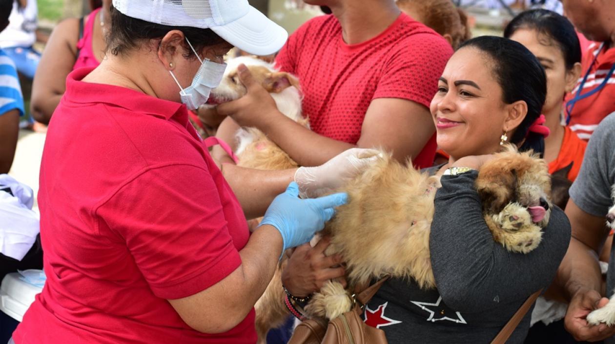 dadanía atendió el llamado para vacunar sus mascotas.