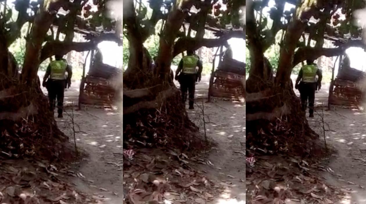 Momentos del operativo.