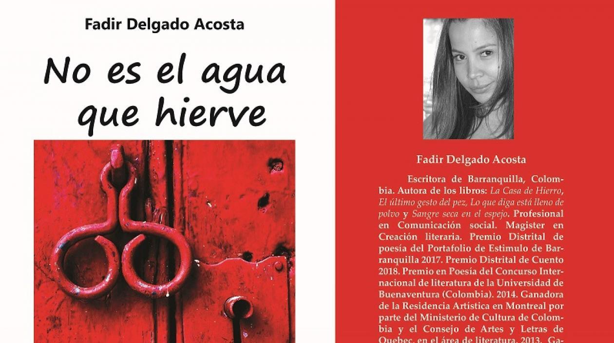 Portada del libro 'No es el agua que hierve' de Fadir Delgado.