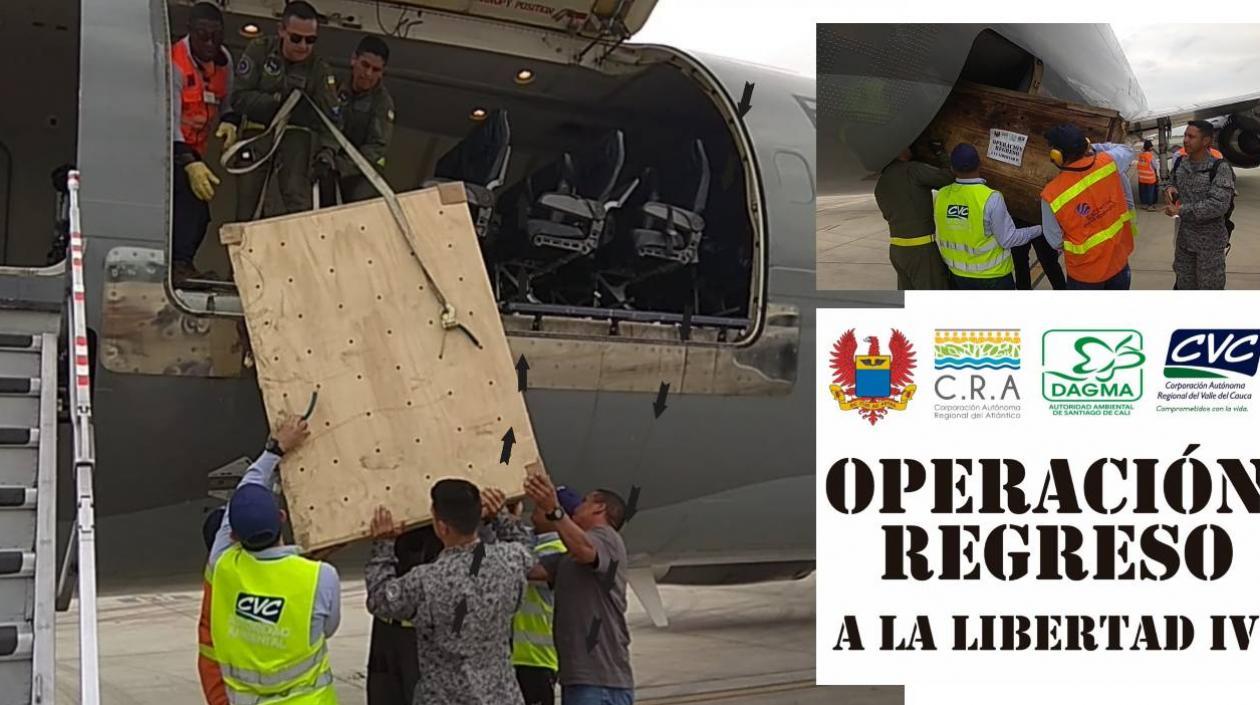 Operación regreso comenzó en Cali y termina en Barranquilla, donde son recibidas las especies.