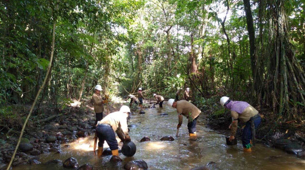 El vertido de crudo afectó "un caño seco y la quebrada La Gaitana y los ríos Róyota y Arauca.