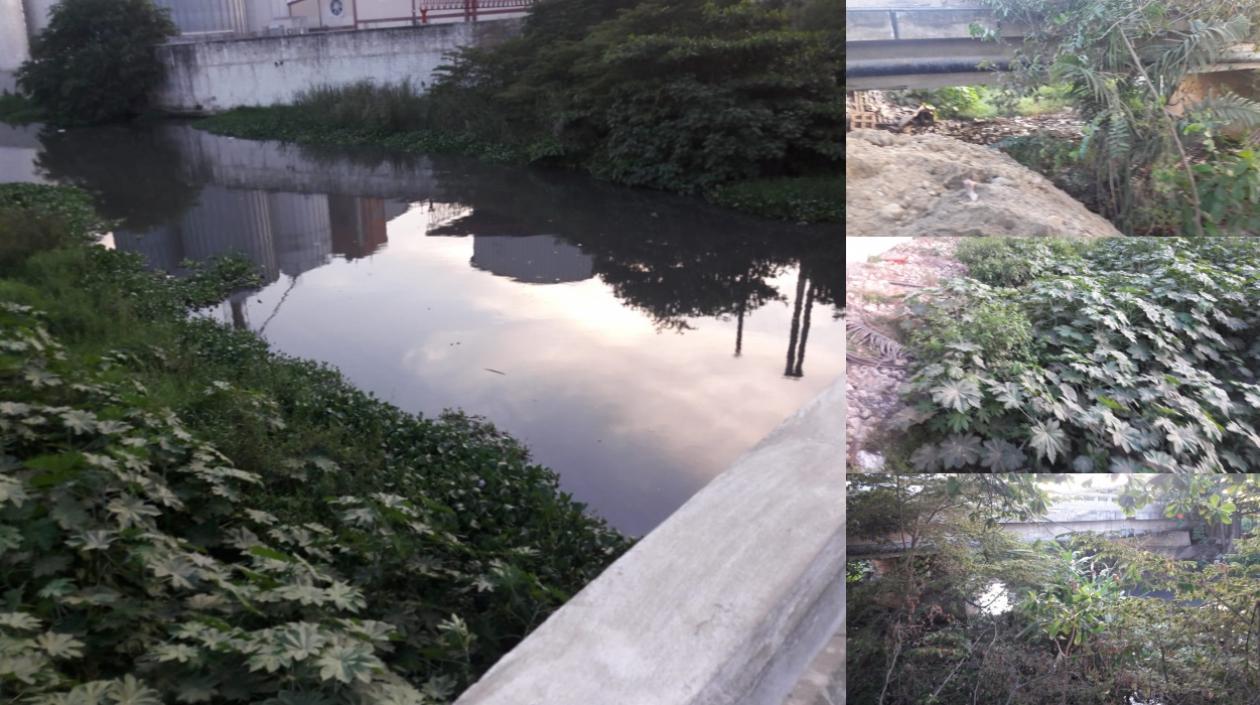 Imagen de la zona visitada en el caño Las Compañías.