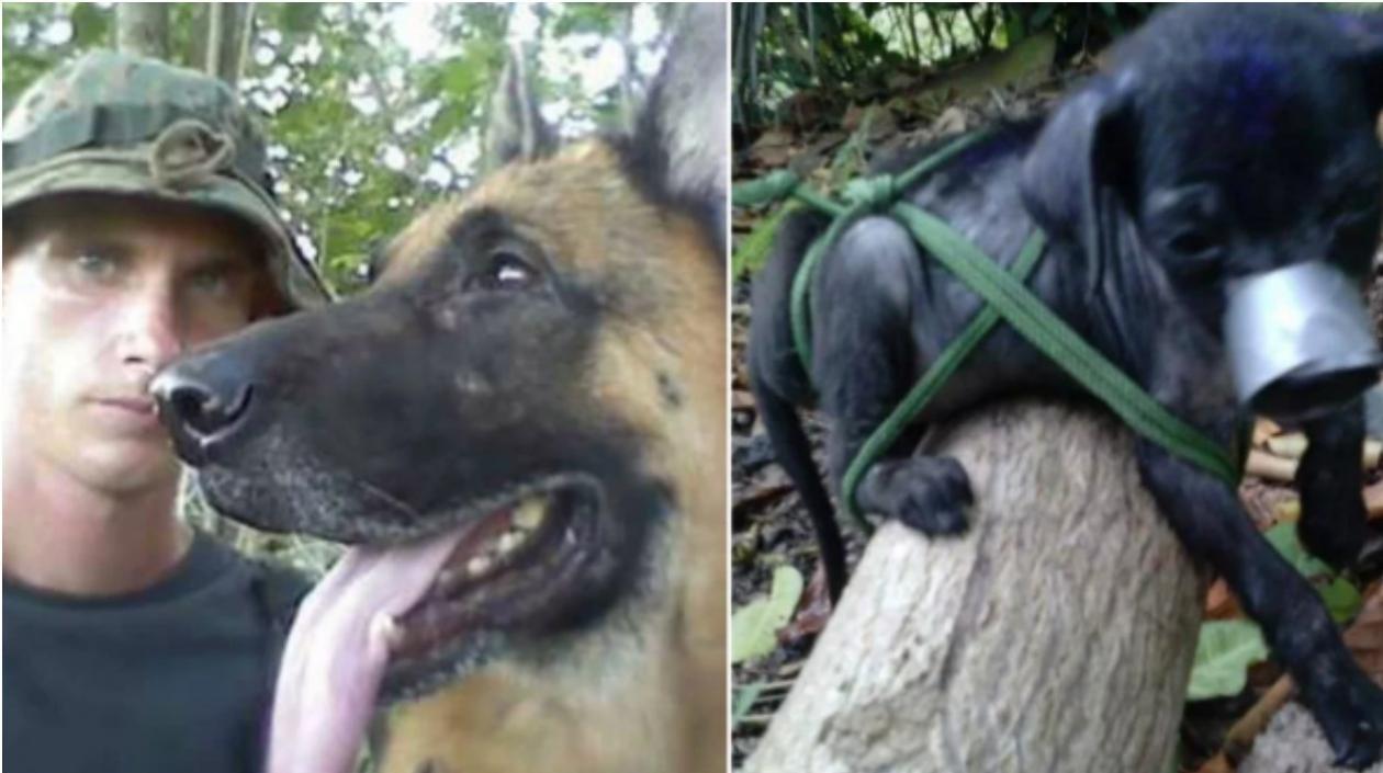 Este hombre fue detenido por las autoridades en Cuba.