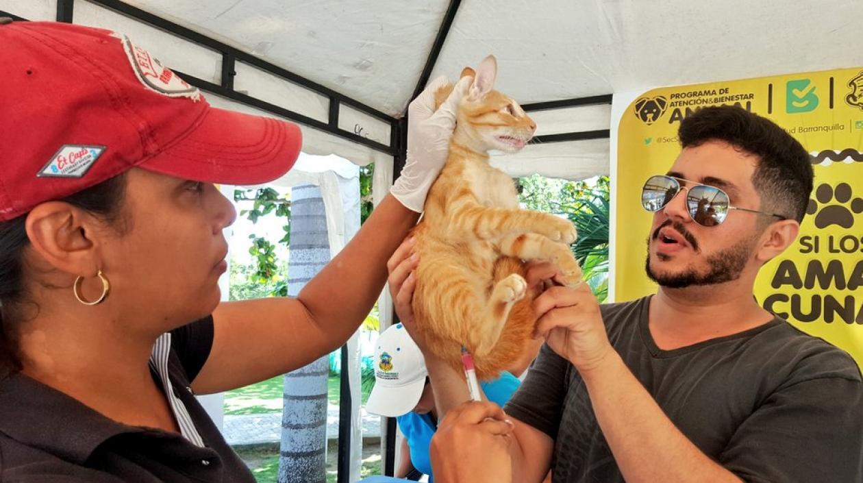  ¨La jornada fue complementaria de las acciones que se hacen diariamente en todos los barrios.