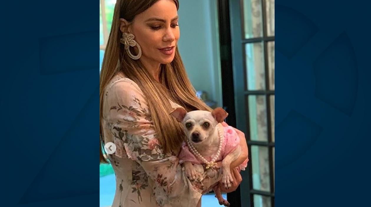 La actriz y empresaria Sofía Vergara.