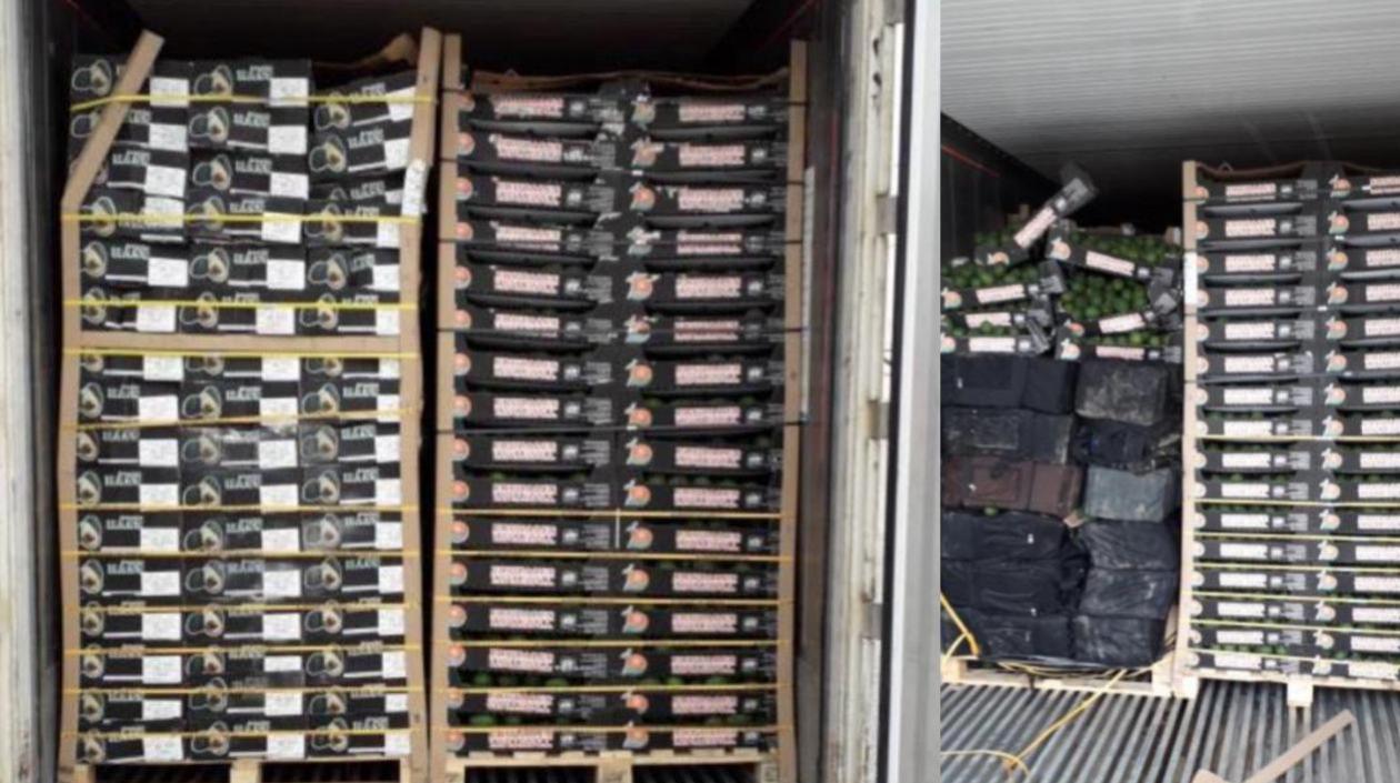 En el cargamento de aguacates venía la droga desde Turbo a Holanda.
