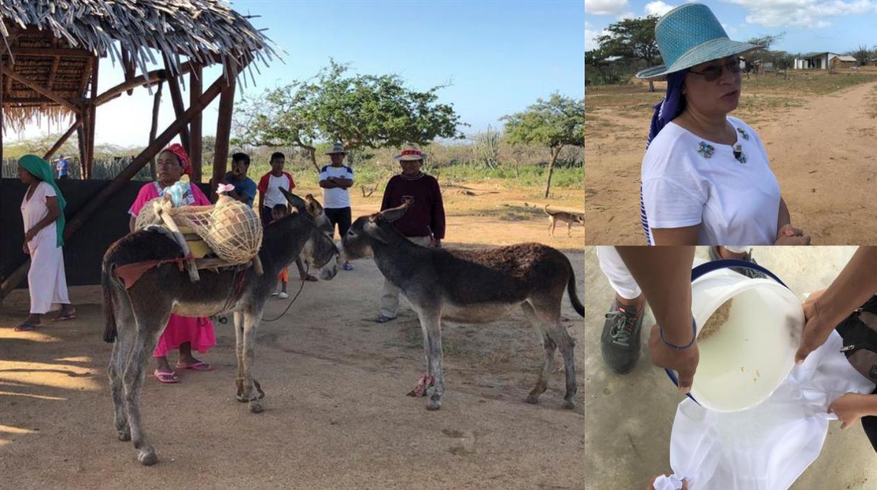 La sequía que trajo consigo el fenómeno El Niño ha mortificado hasta el punto de haber pasado varios años sin ver caer una sola gota de lluvia.