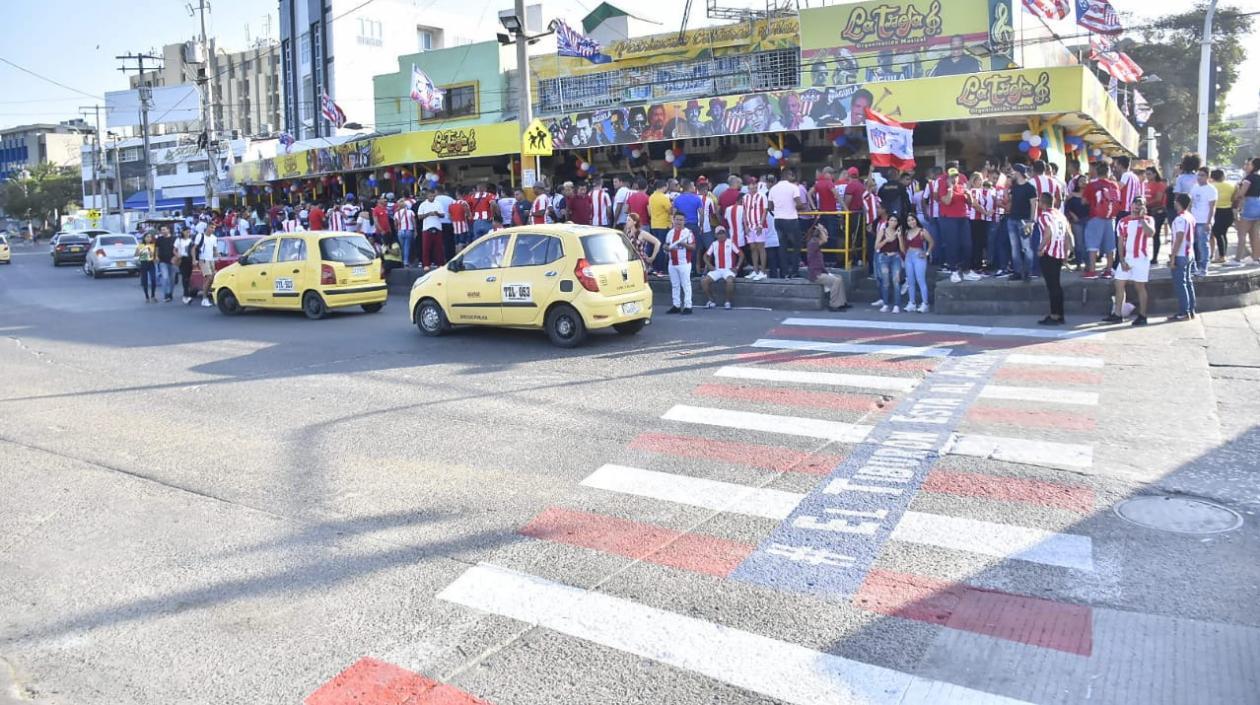 La cebra en La Troja.