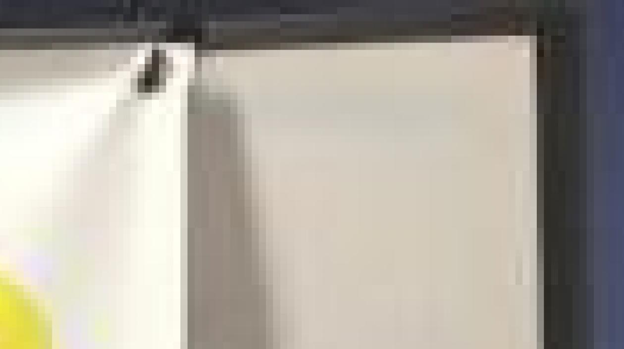 Rocío Gamarra, gerente del CARI.