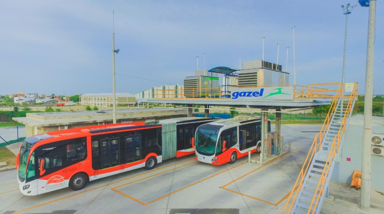 ranscaribe robustece su flota con los nuevos buses al pasar de 198 a 329 buses. 