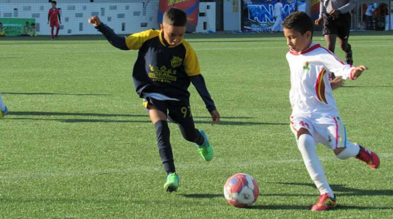 La Copa Caribe reunió a los más pequeños. 