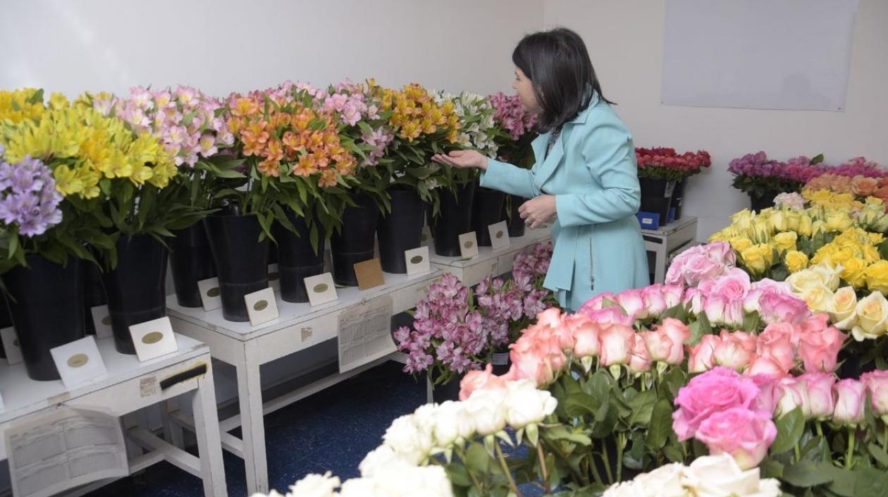 La viceministra de Comercio Exterior, Olga Lucía Lozano, durante una visita a un cultivo de flores.