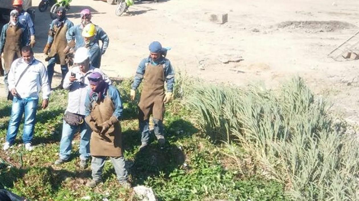 Obreros de la zona encontraron el cuerpo.