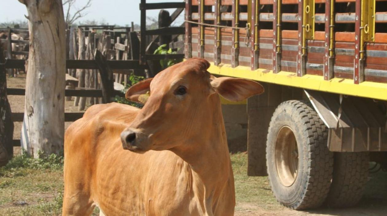La oficina de Salud Pública Departamental programó labores de inspección las 24 horas en Carnaval.