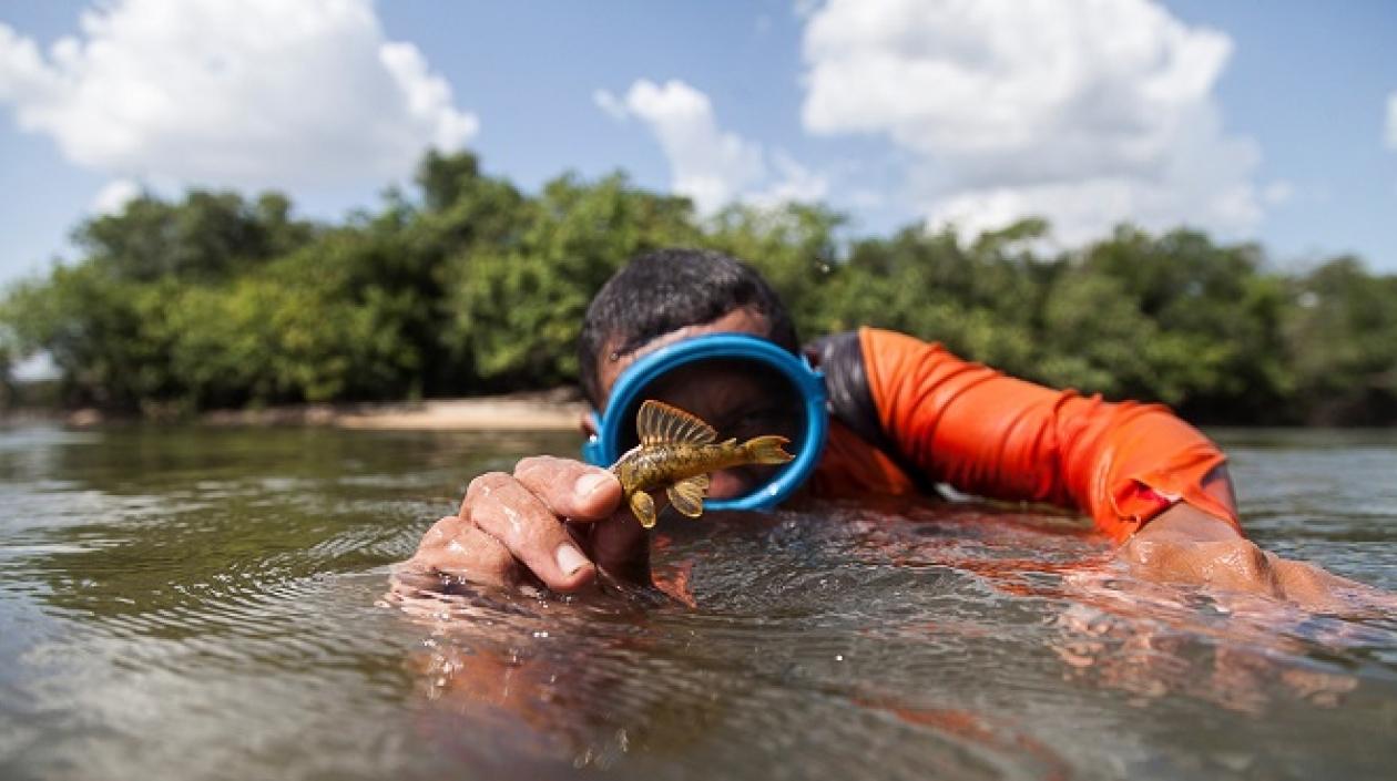  El programa Colombia-Bio es un proyecto científico de interés nacional. 
