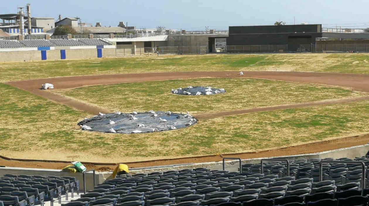 La gramilla del estadio Édgar Rentería avanza en su proceso de germinación. 
