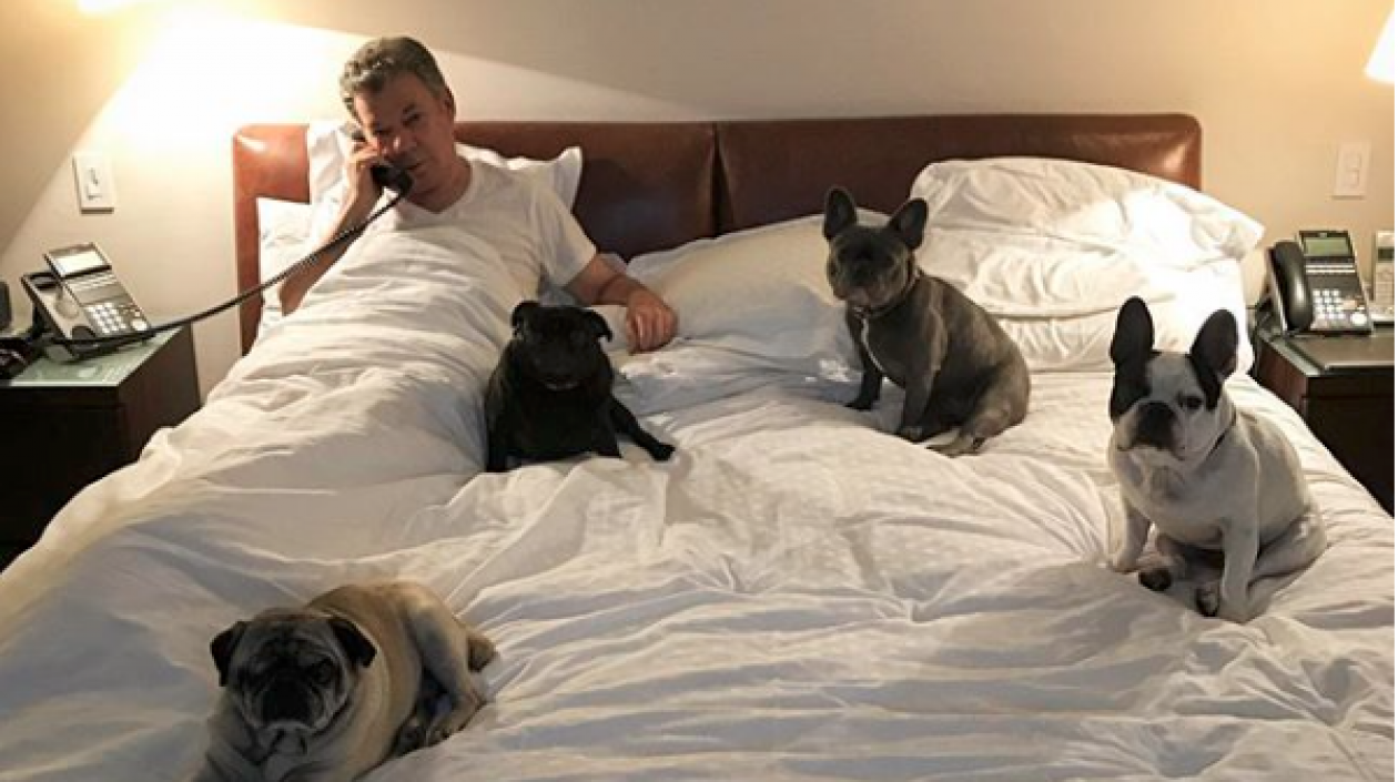 El Presidente Juan Manuel Santos con sus mascotas.