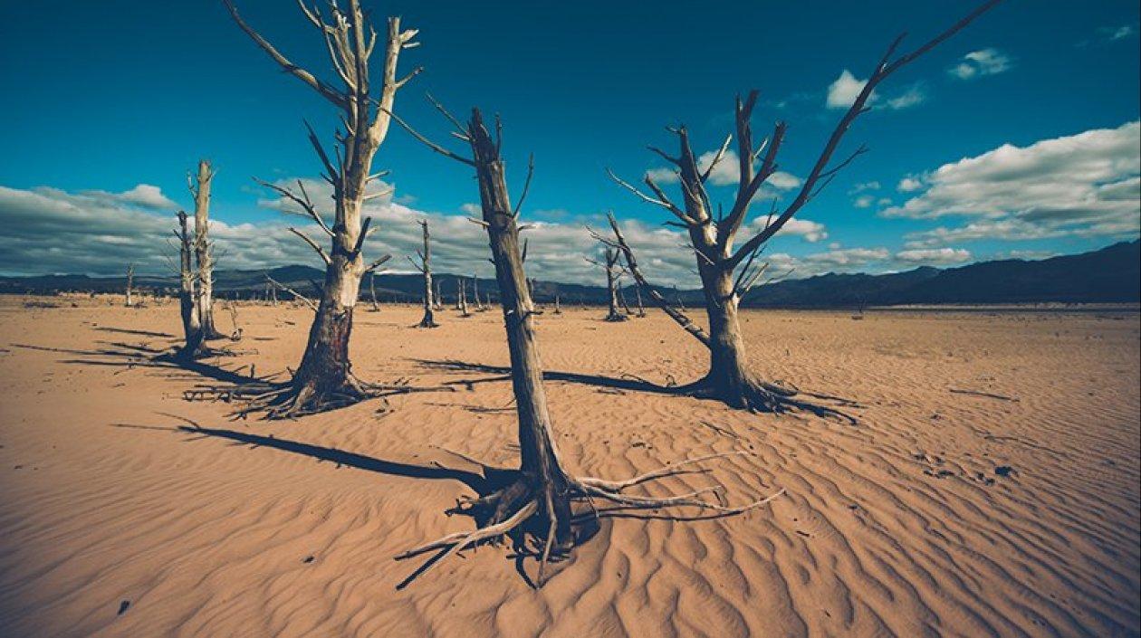 En pocos meses Ciudad del Cabo no tendrá agua.