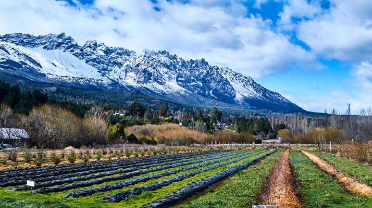 El AgMIP centra sus labores en comprender cómo la agricultura y la seguridad alimentaria son vulnerables a los cambios globales.