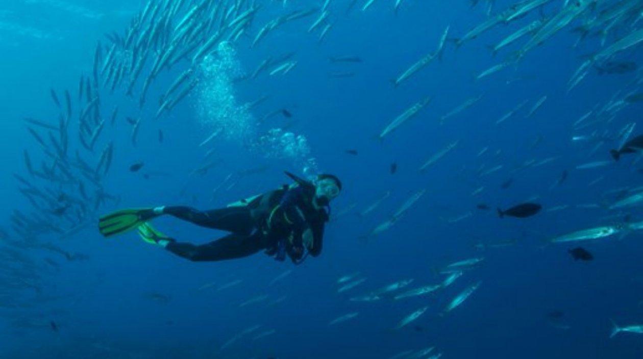 Se conocen los resultados de una expedición marina centrada en la contaminación por plásticos.