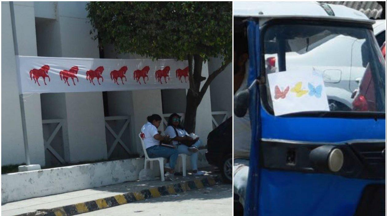 El caballo y las mariposas fueron usadas por los partidos políticos en Soledad.