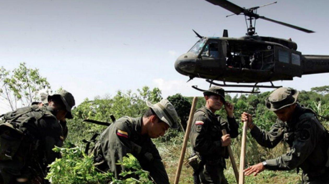 Foto de archivo de sustitución de cultivos ilícitos.