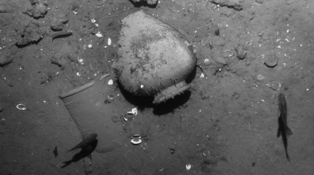 El proyecto representará una fuente económica, cultural, científica y académica de gran valor.