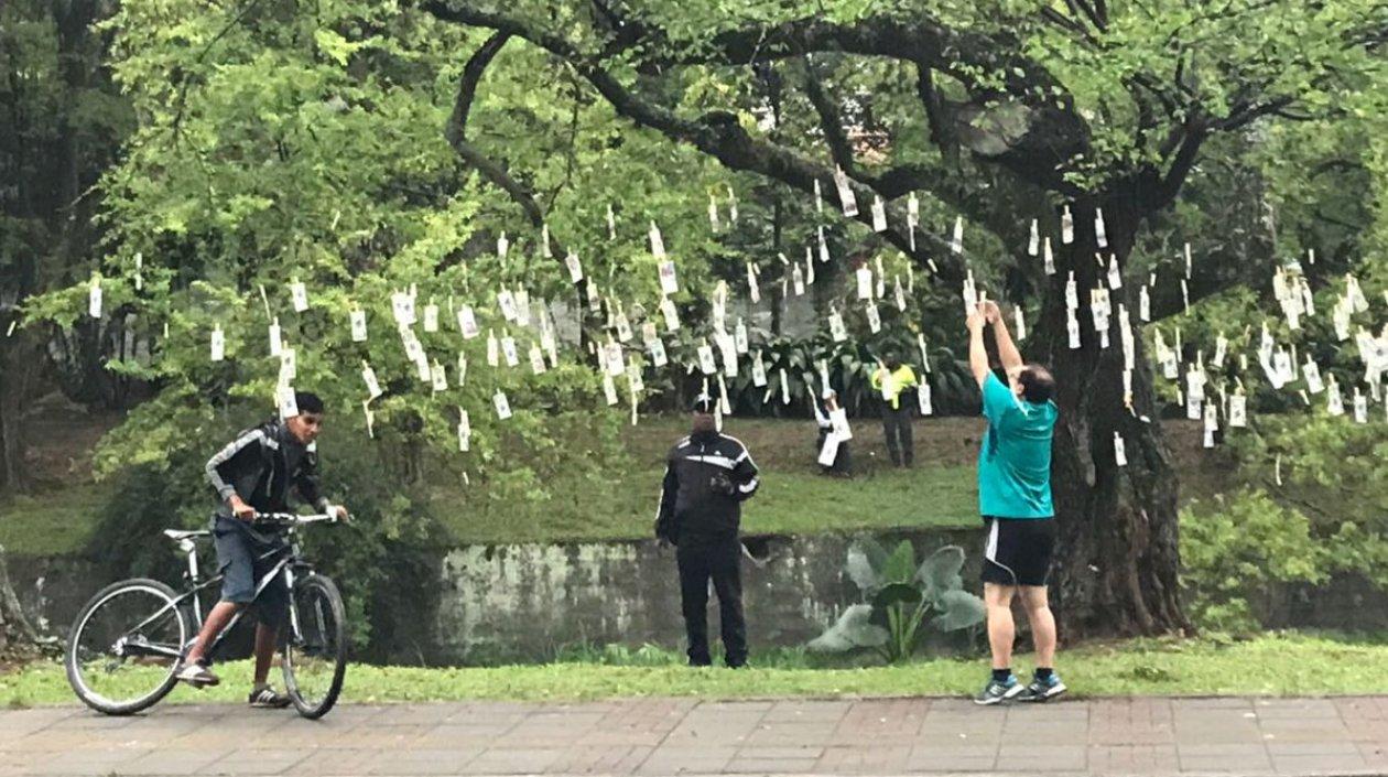 Un hombre arranca un billete de un árbol en Bogotá.