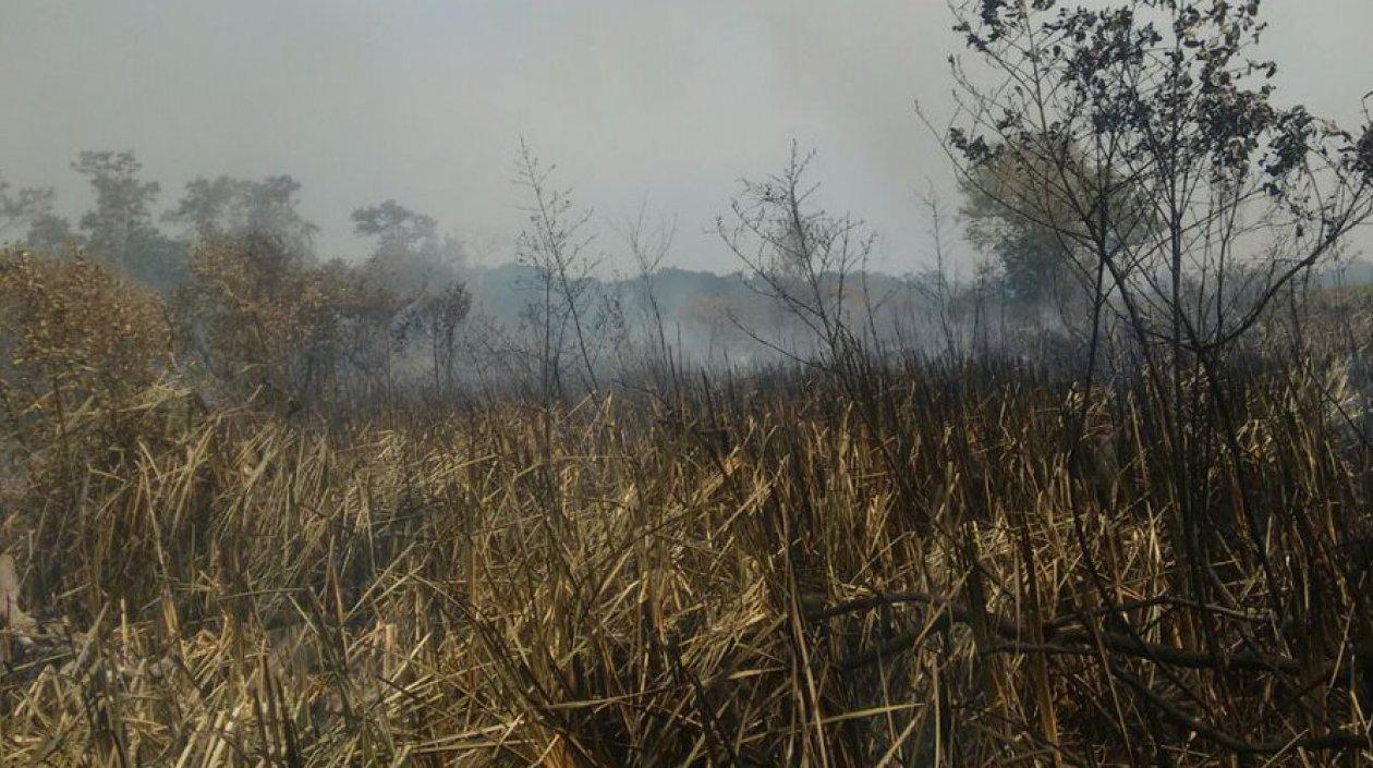 Incendio de cobertura vegetal en Parque Isla Salamanca.
