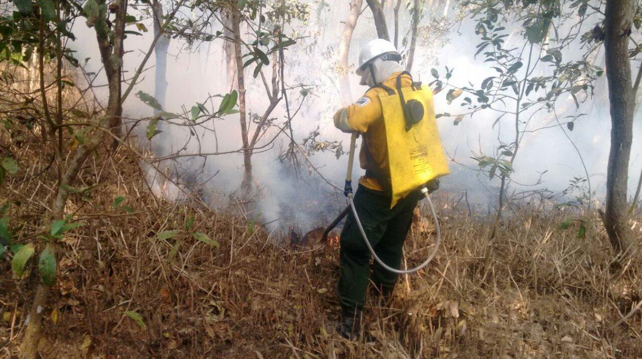 Bomberos de Ciénaga trabajan para sofocar las llamas.